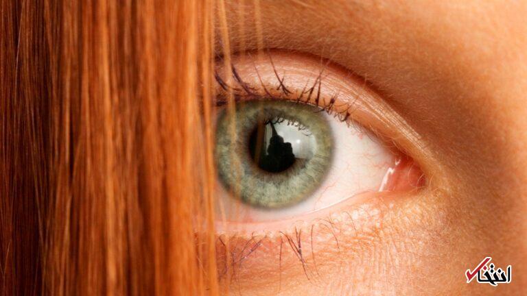 Wp Header Logo 3137.png