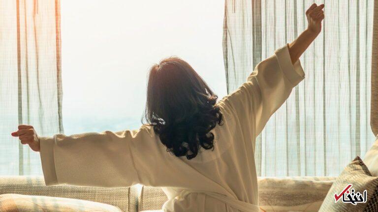 Wp Header Logo 3138.png