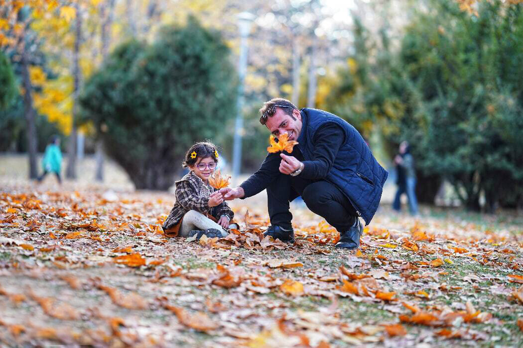 Wp Header Logo 3140.png