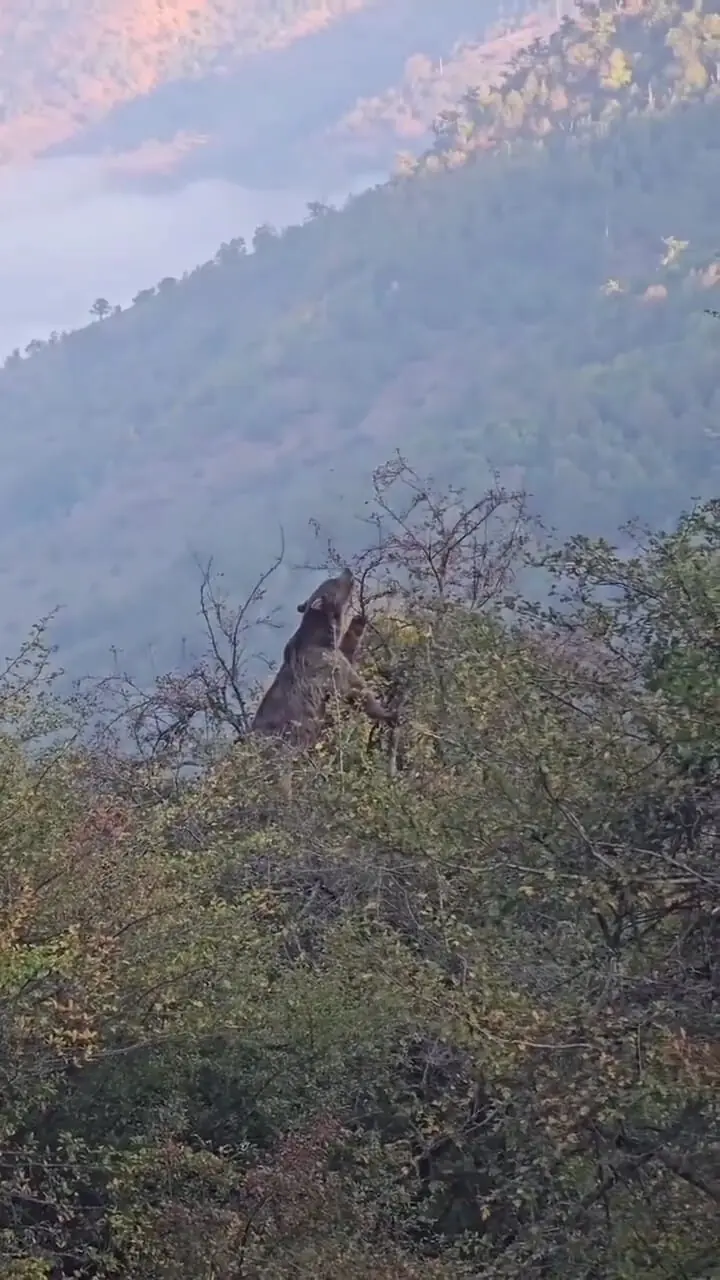 Wp Header Logo 3143.png