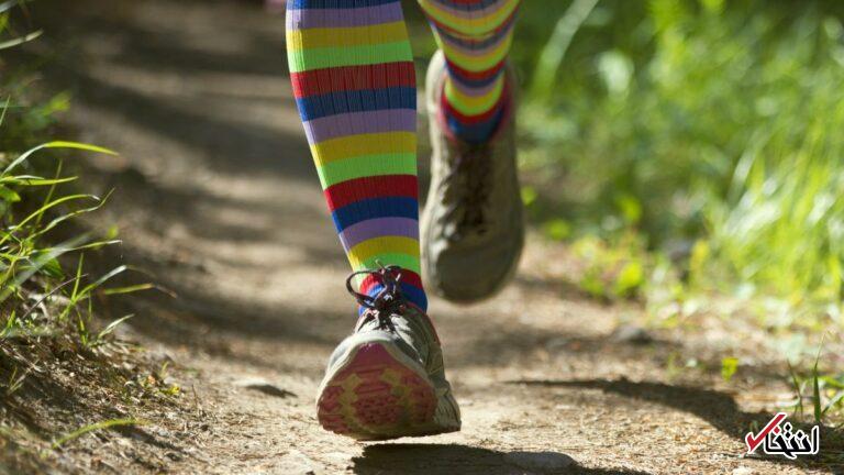 Wp Header Logo 3153.png