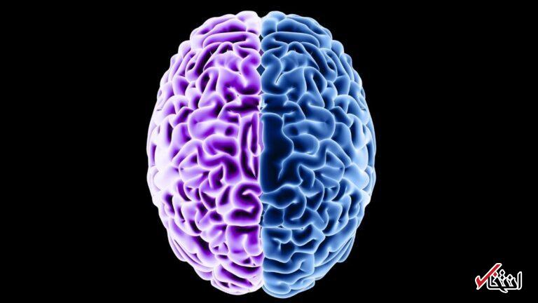 Wp Header Logo 3157.png