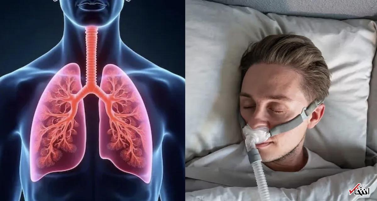 Wp Header Logo 3158.png