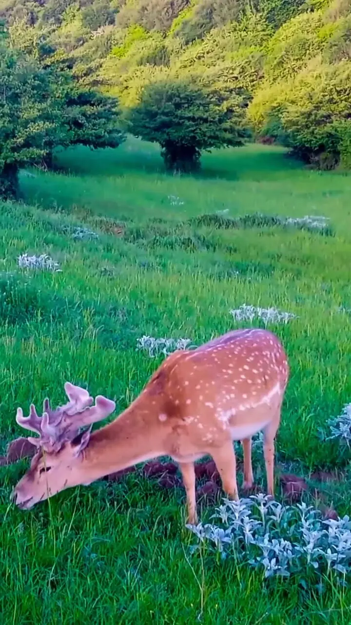 Wp Header Logo 3186.png