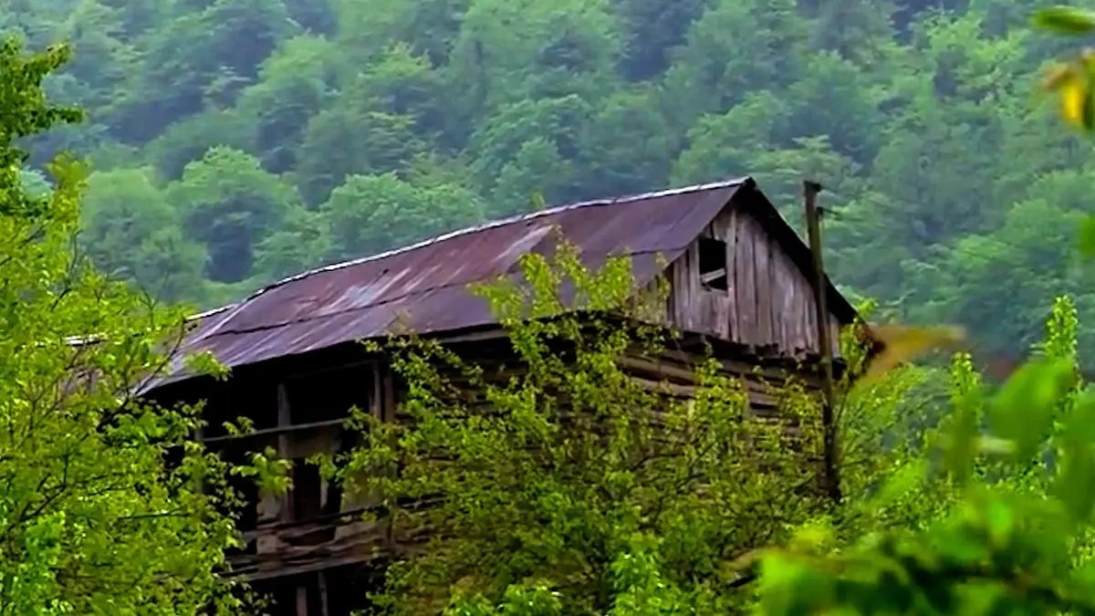 Wp Header Logo 3229.png