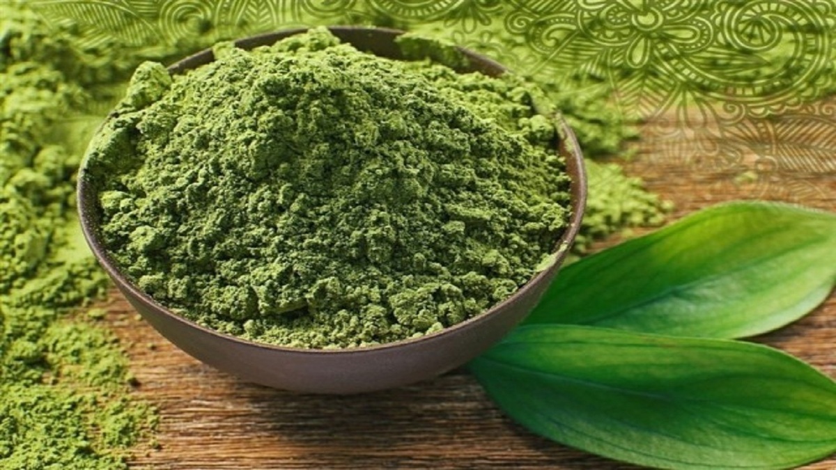 Wp Header Logo 3230.png