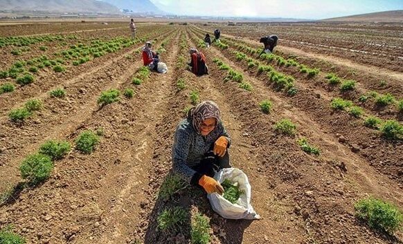 Wp Header Logo 3231.png