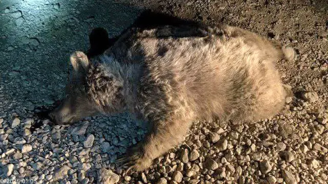 Wp Header Logo 5.png