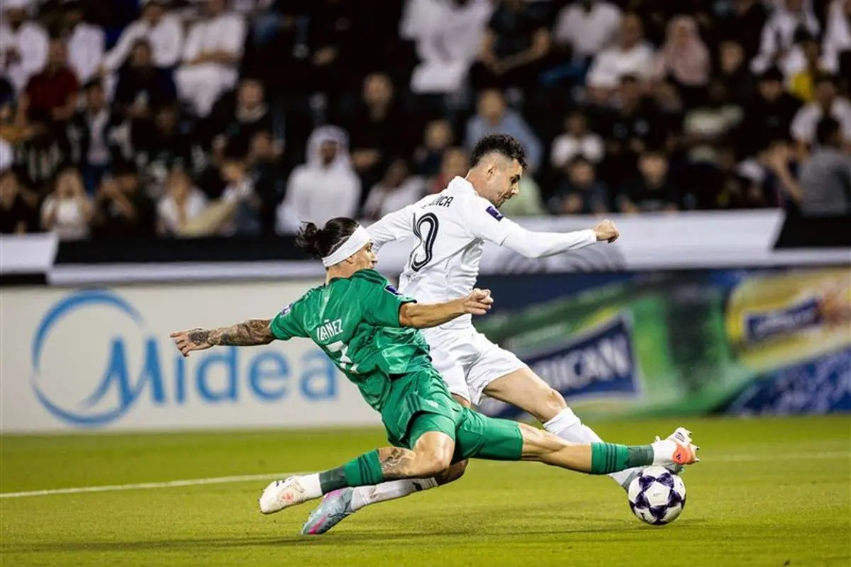 Wp Header Logo 509.png