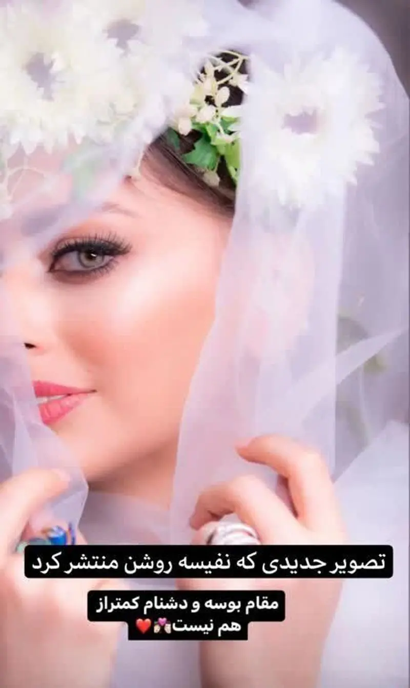 Wp Header Logo 571.png