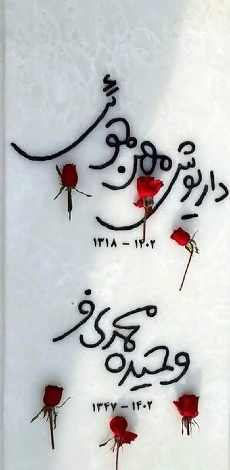 Wp Header Logo 579.png