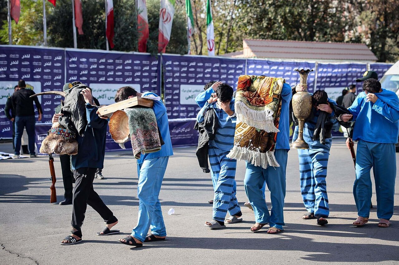 Wp Header Logo 590.png