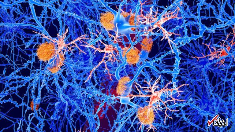 Wp Header Logo 595.png