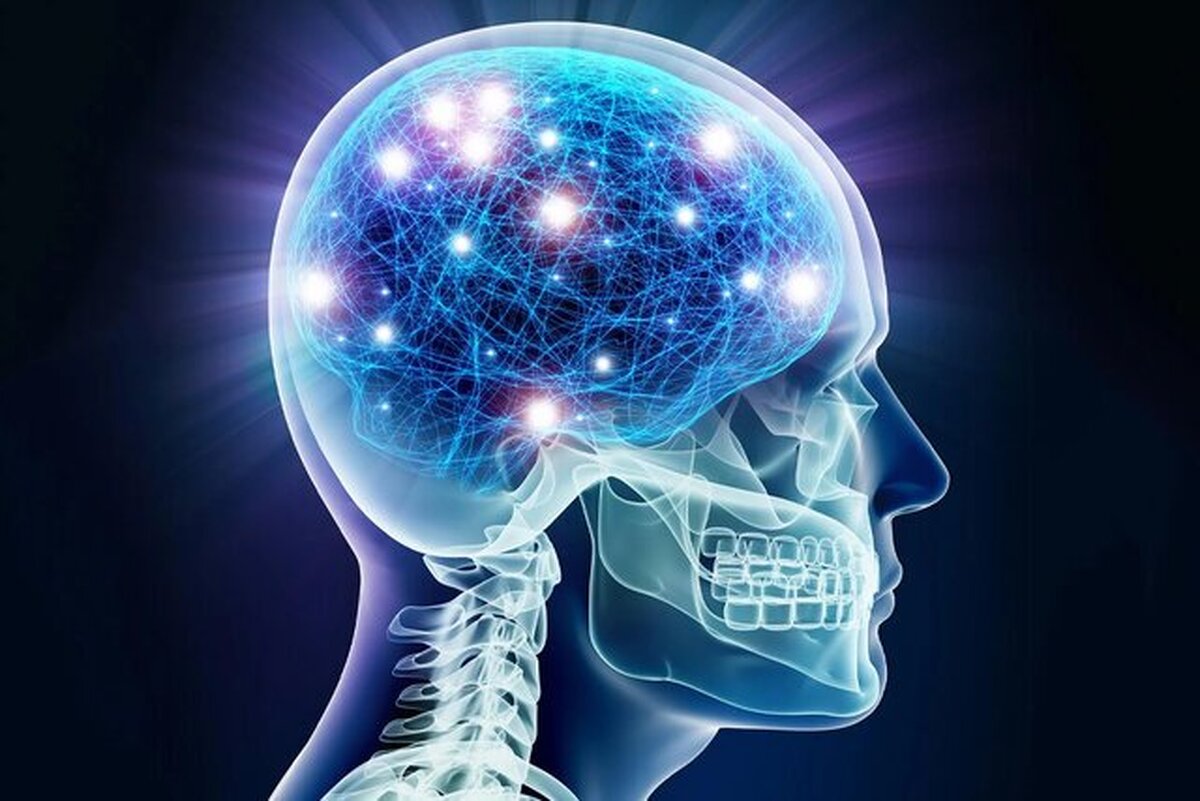 Wp Header Logo 605.png