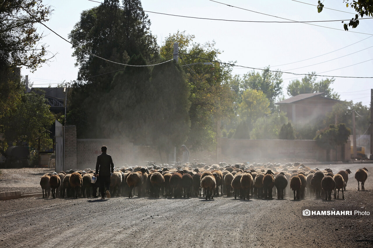 Wp Header Logo 642.png