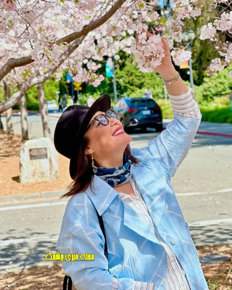 Wp Header Logo 654.png