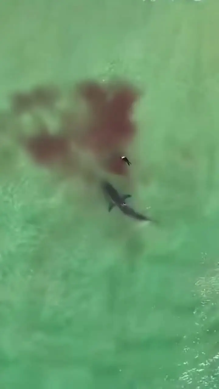 Wp Header Logo 656.png