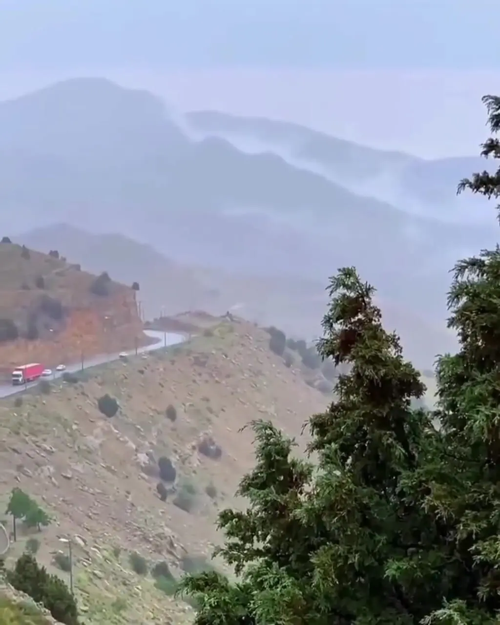 Wp Header Logo 755.png