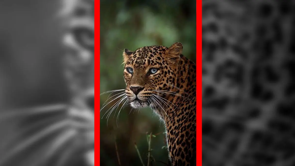 Wp Header Logo 1038.png