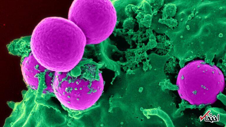 Wp Header Logo 1092.png