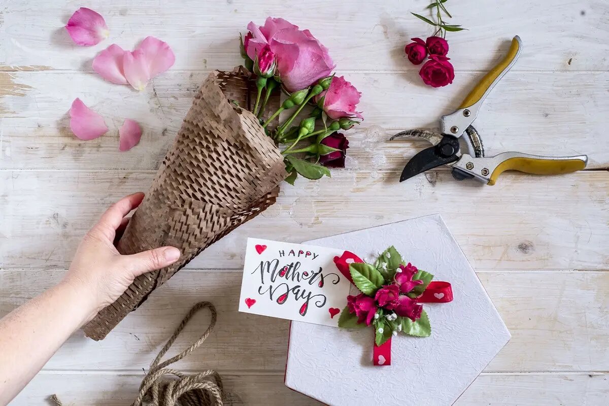 Wp Header Logo 1142.png