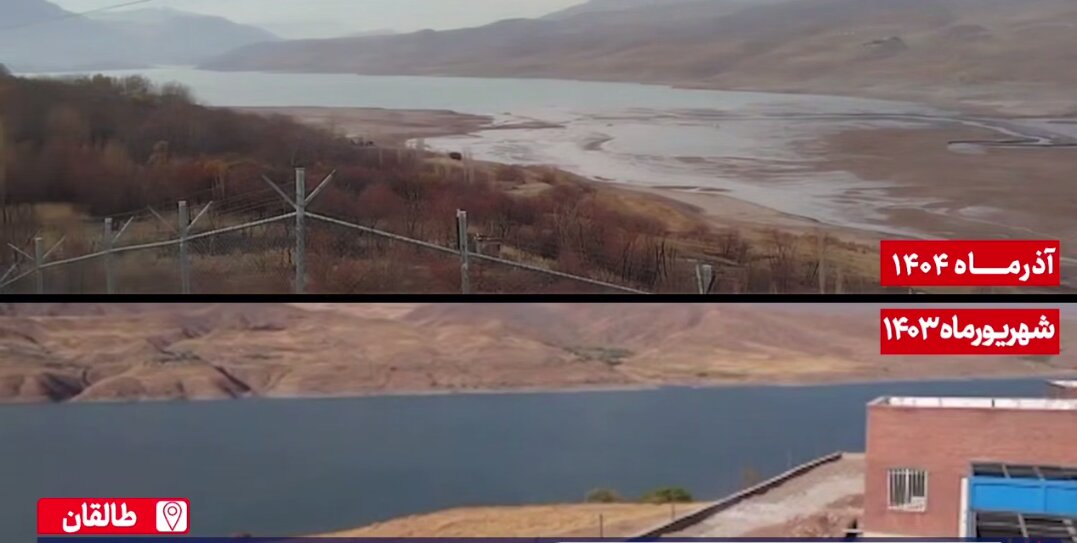 Wp Header Logo 117.png