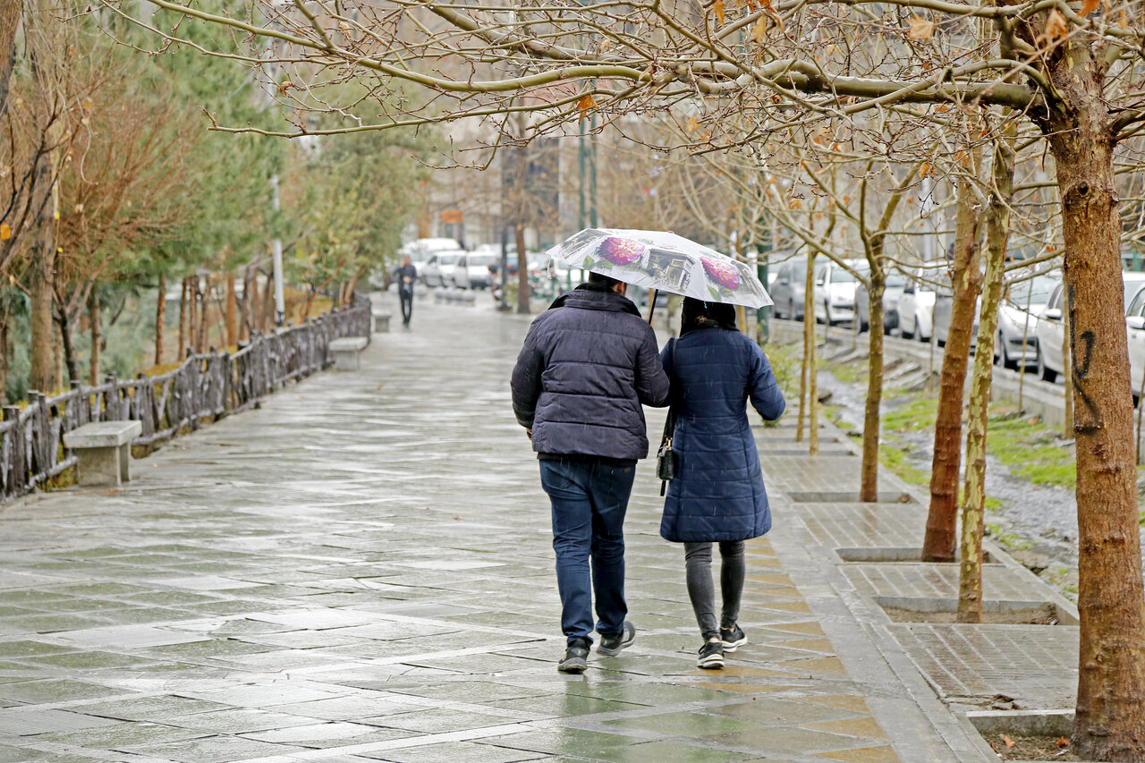 Wp Header Logo 1393.png