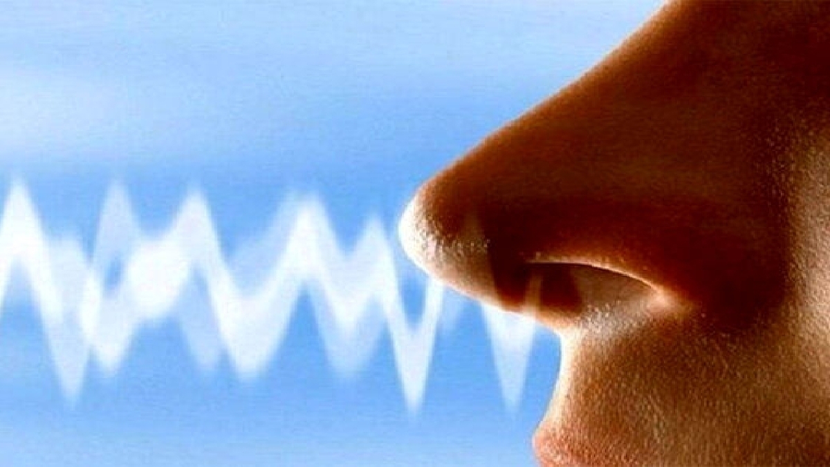 Wp Header Logo 1400.png