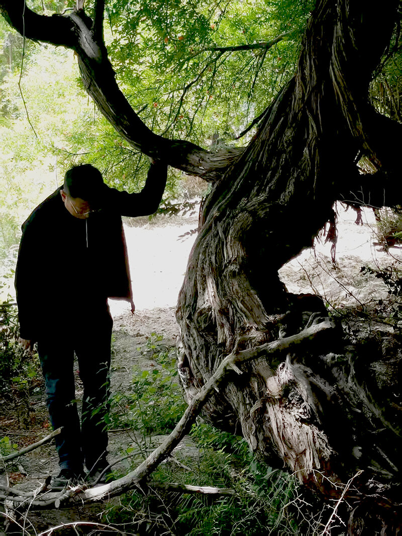 Wp Header Logo 1446.png