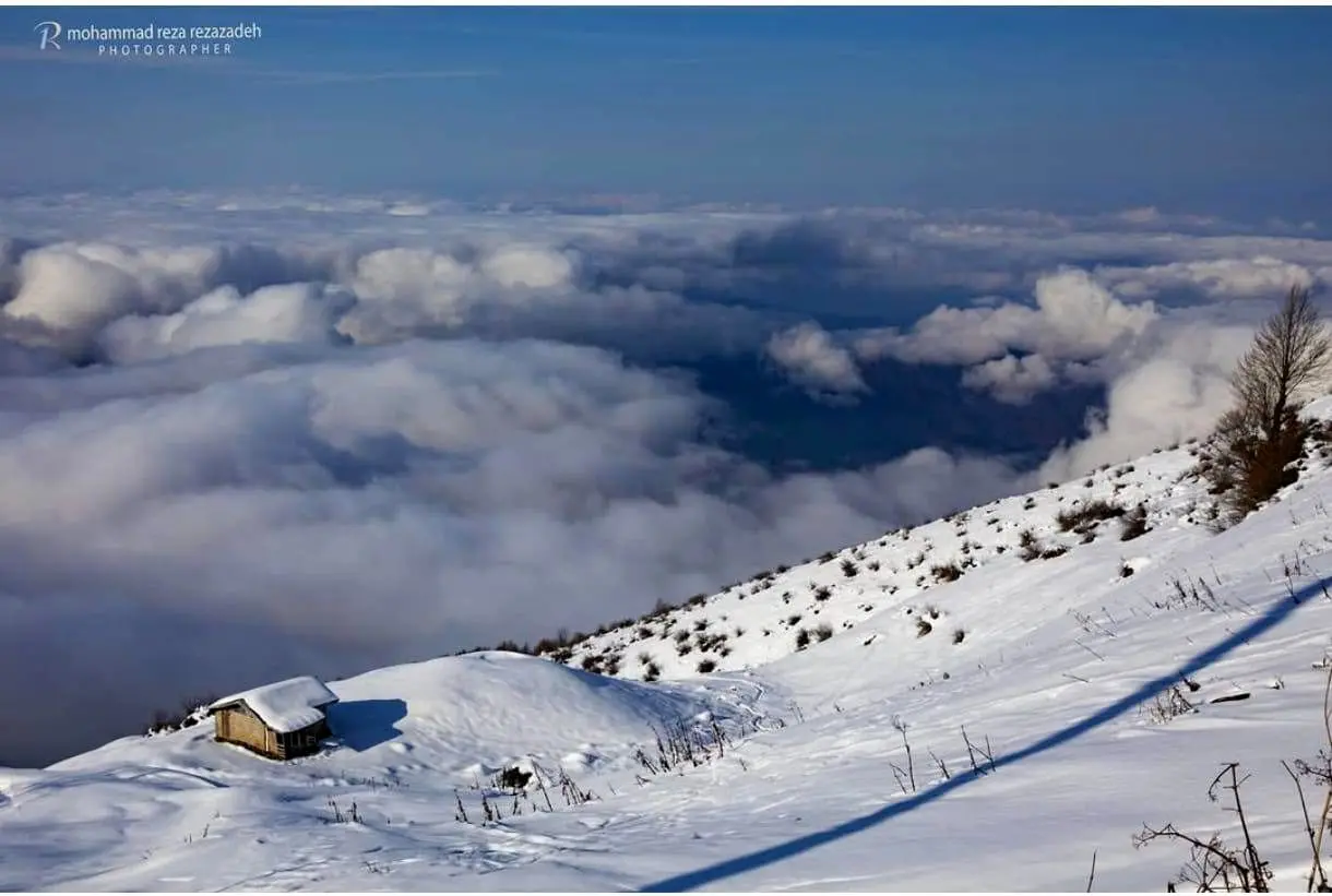 Wp Header Logo 1575.png