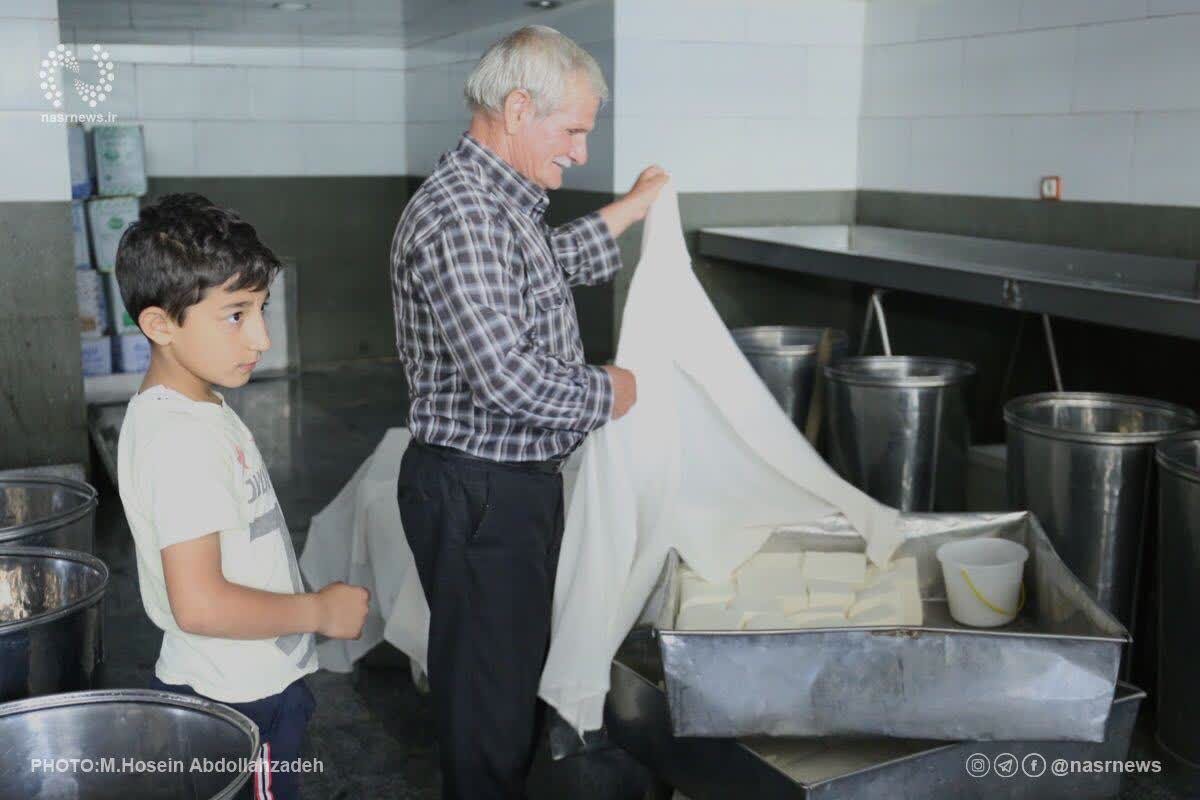 Wp Header Logo 1583.png