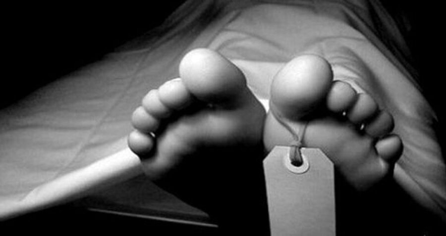 Wp Header Logo 1594.png