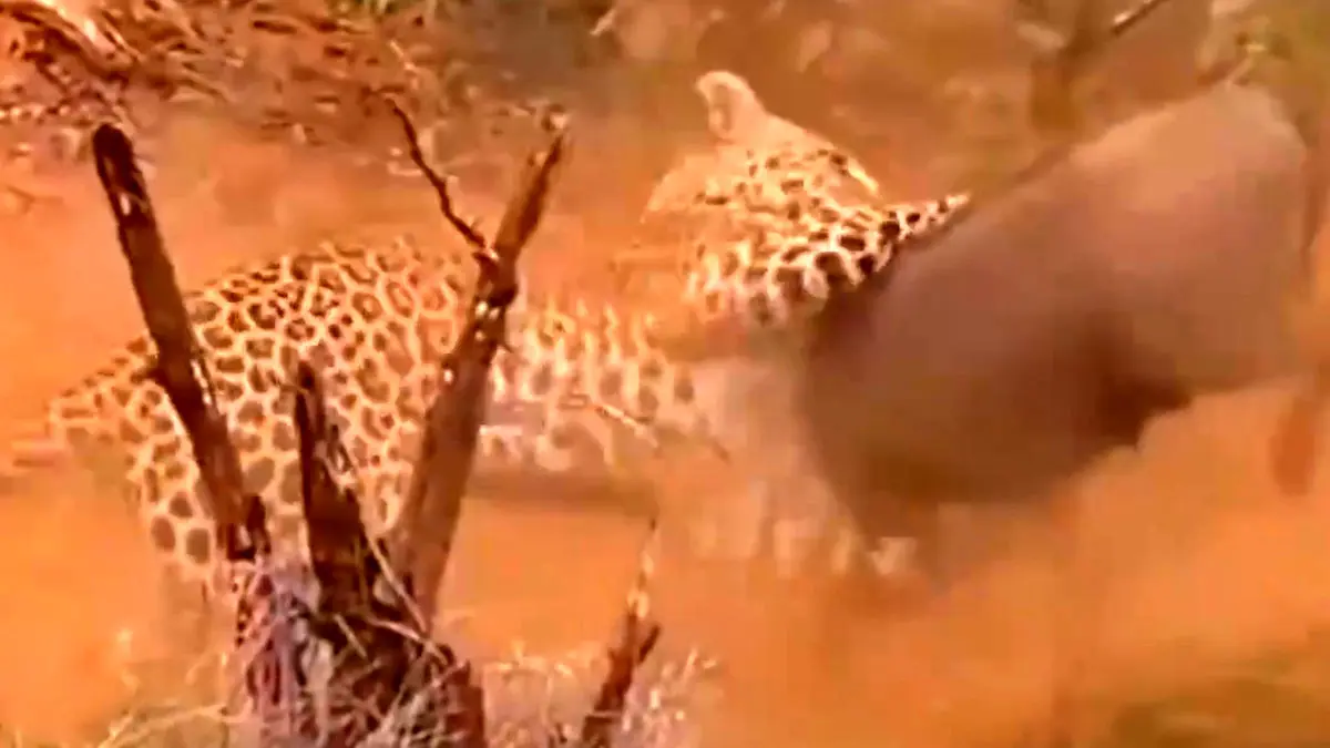 Wp Header Logo 1601.png