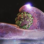 گروه‌های حساس در برابر «آنفلوآنزا» چه افرادی هستند؟