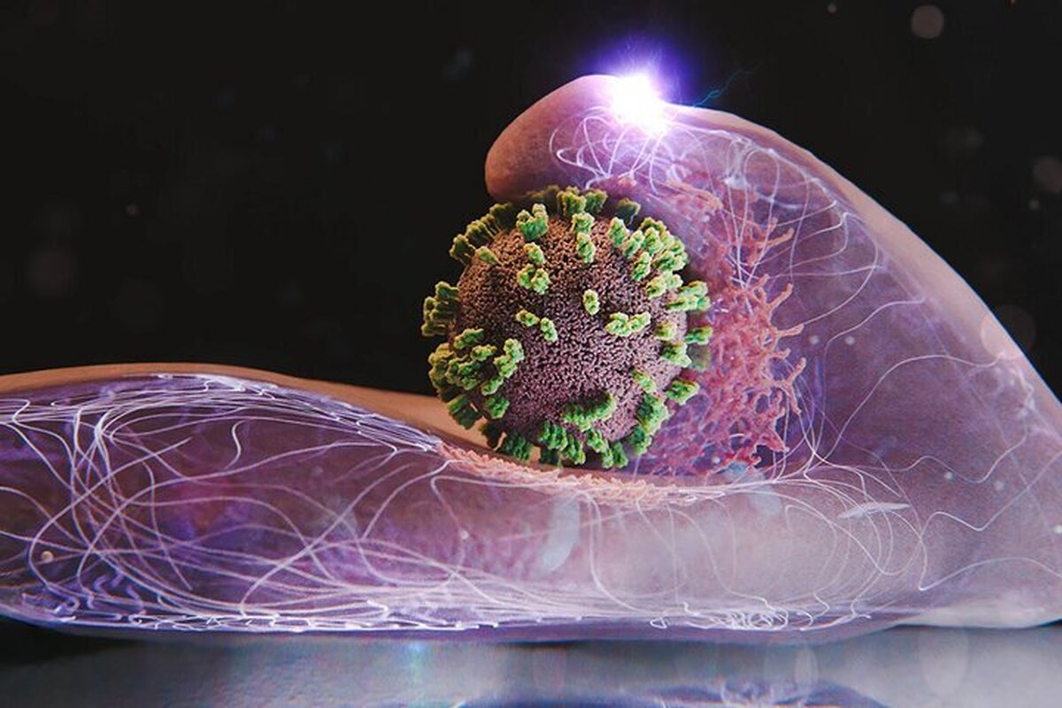 Wp Header Logo 1665.png