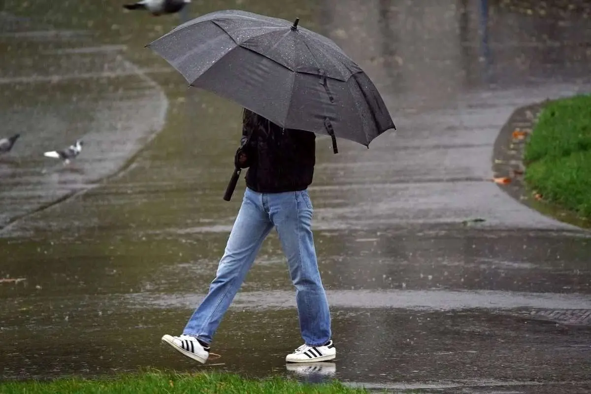 Wp Header Logo 1694.png