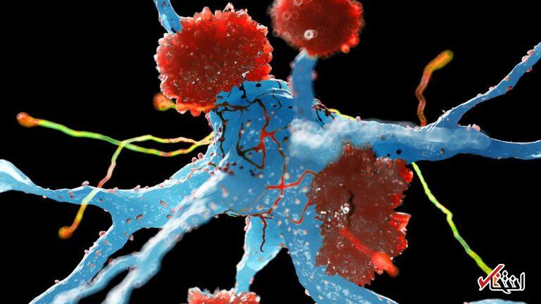 Wp Header Logo 177.png