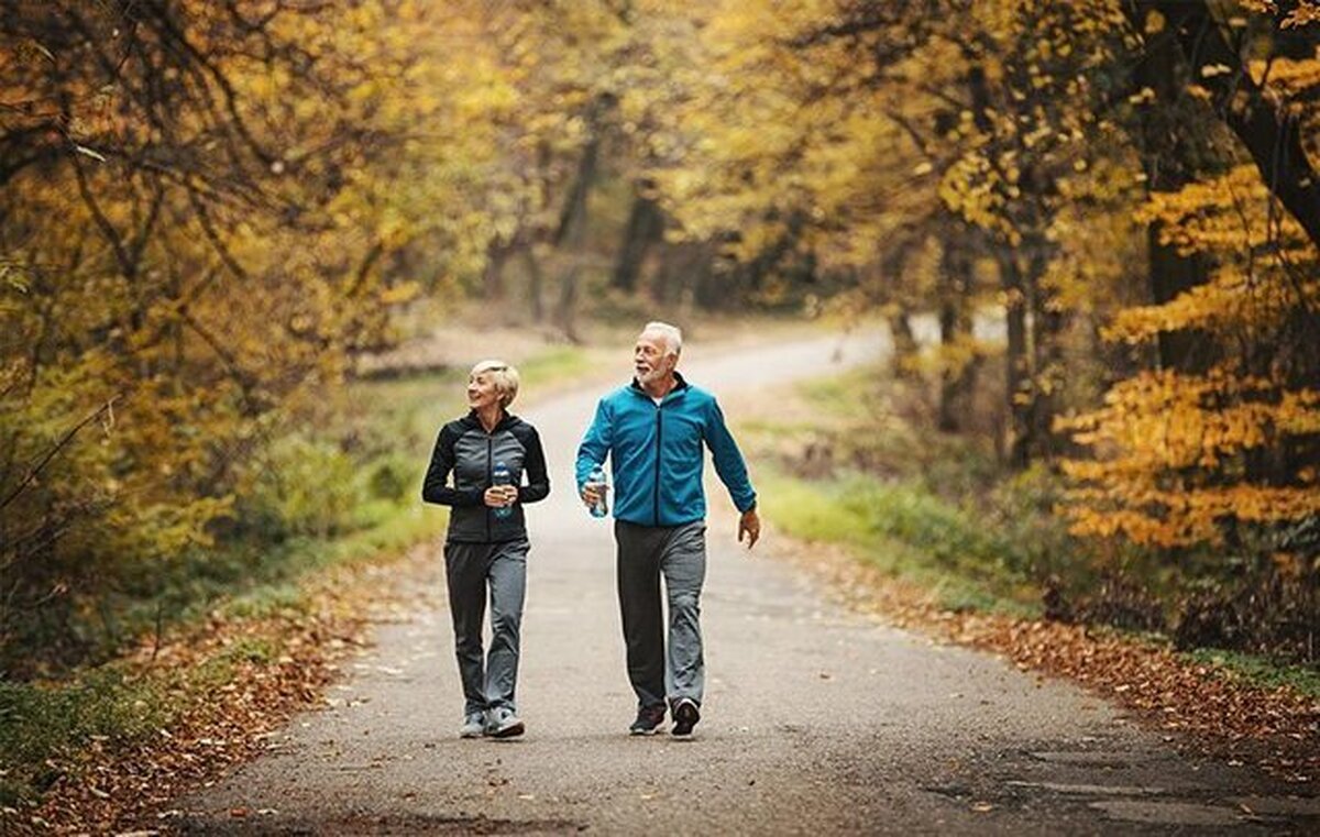 Wp Header Logo 205.png