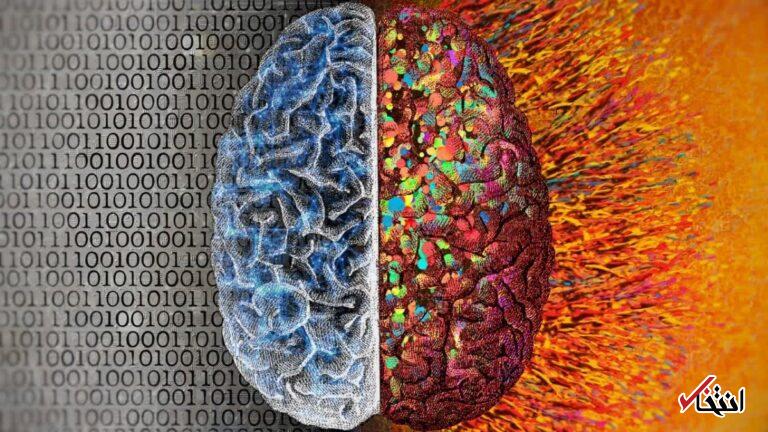 Wp Header Logo 212.png