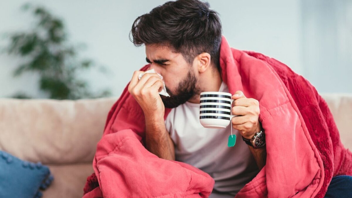 Wp Header Logo 215.png