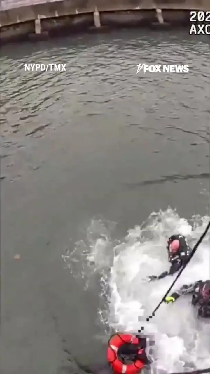 Wp Header Logo 313.png