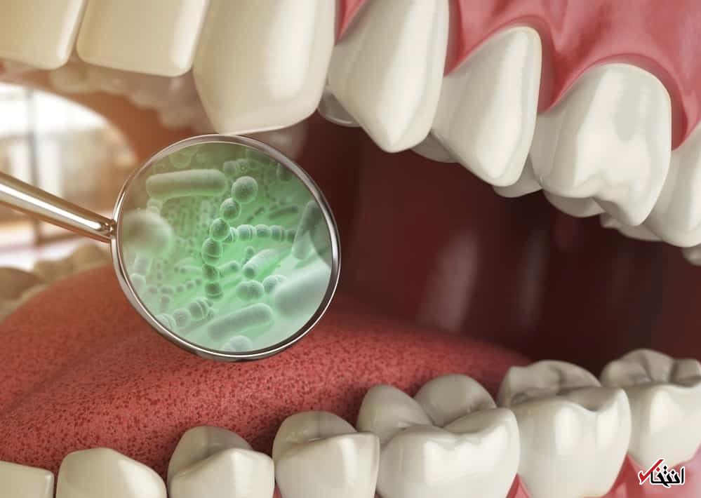 Wp Header Logo 497.png