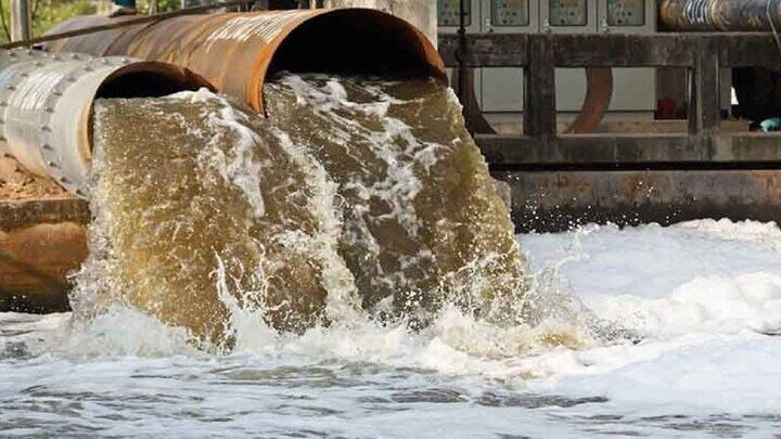 Wp Header Logo 503.png