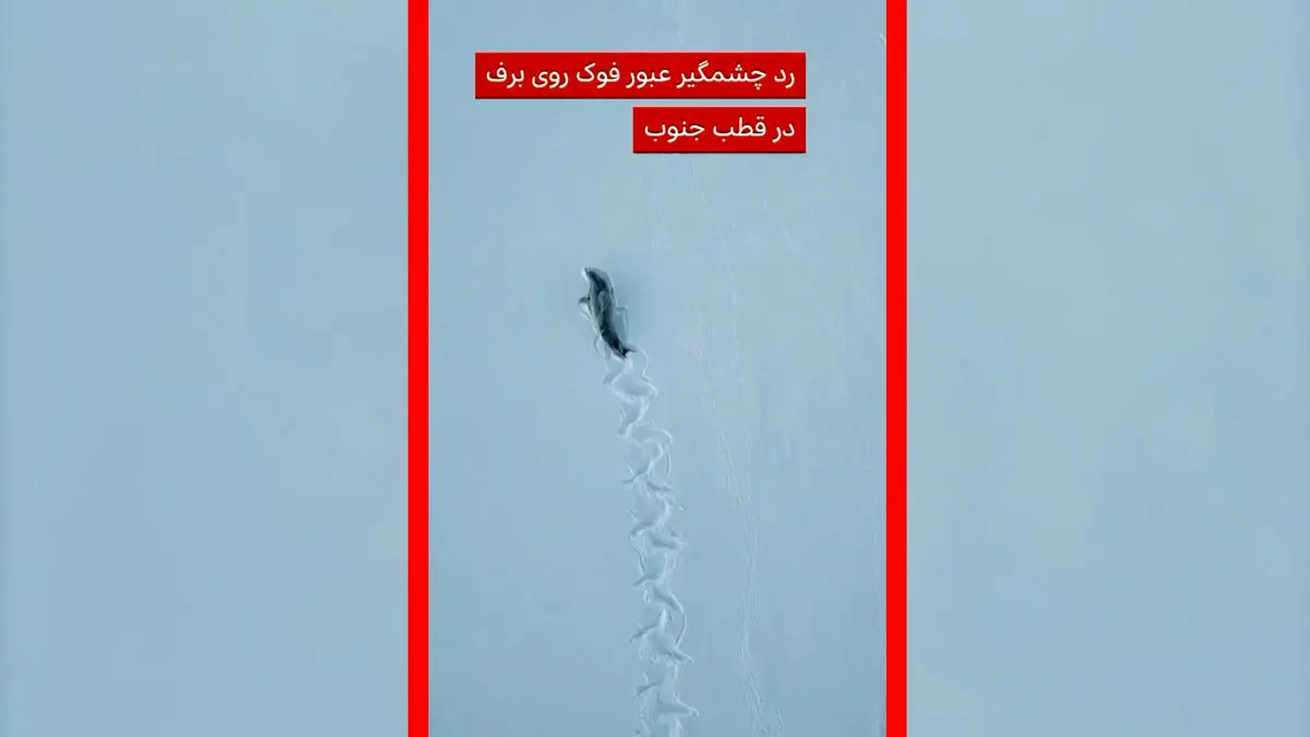 Wp Header Logo 541.png