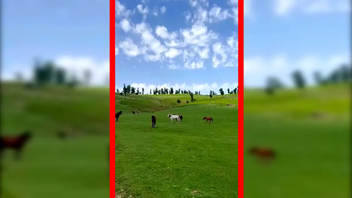 Wp Header Logo 547.png