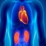 ۹۰٪ مردم این بیماری شایع قلبی-کلیوی را نمی‌شناسند