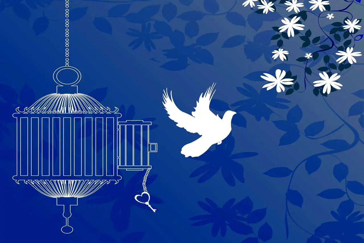 Wp Header Logo 635.png