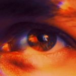 آیا کروموزوم Y در حال ناپدید شدن است؟