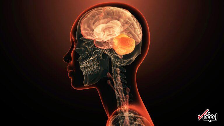 Wp Header Logo 647.png