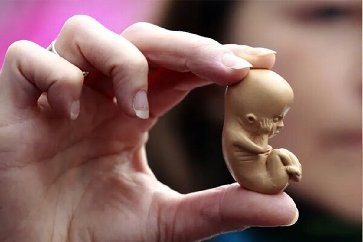 Wp Header Logo 690.png